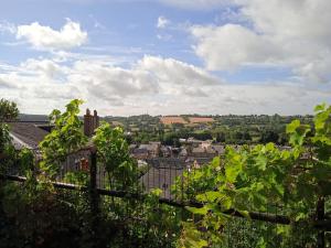 Maisons de vacances Charming detached 2 bedroom ancient house in medieval quarter of a small town in the Pays de la Loire, France : Maison 2 Chambres