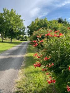 Campings Camping Le Convivial : photos des chambres