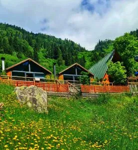 Yayla Bungalov - Yusufeli