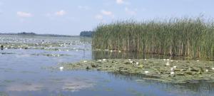 Kifog-Lak Vendégház