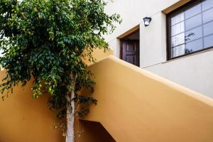 Bright House, Pool & Workspace near Medano Beach