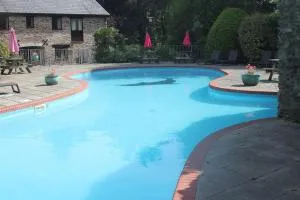 Charming 2-Bed Cottage in Modbury - Modbury