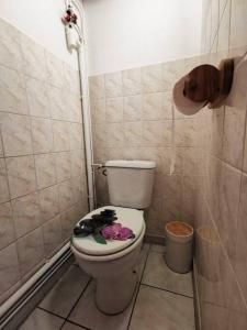 Maisons de vacances Maison O Volets Bleus Calme Jardin : photos des chambres