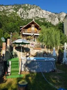 Barbu Ionel - Sfodea