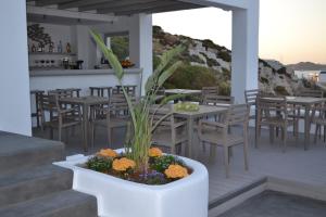 Hotel Papadakis Paros Greece