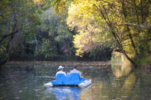Hotel Termas da Curia