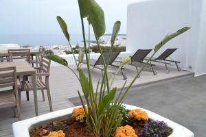 Hotel Papadakis Paros Greece