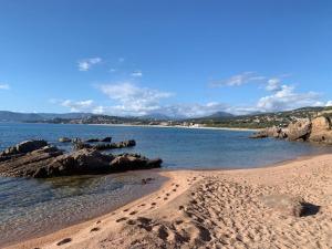 Appartement de standing bord de mer