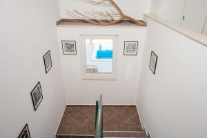 Apartments Belveder