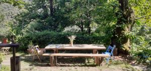 Campings L'ecole des Cevennes : photos des chambres