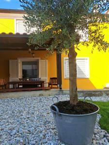 Kvarner holiday home 