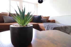 Appartements Le Patio - Spacieux T3 avec climatisation et jardin privatif : photos des chambres