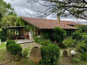 MENDIONDO - Ustaritz