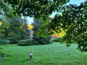 Auberge de la Forêt