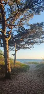 Prie Jūros Papėje, Baltija - Rucava