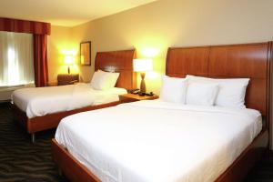 Hilton Garden Inn ChesapeakeSuffolk