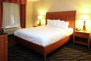 Hilton Garden Inn ChesapeakeSuffolk