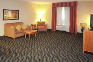 Deluxe King Suite with Shower - Mobility and Hearing Access room in Hilton Garden Inn Chesapeake/Suffolk