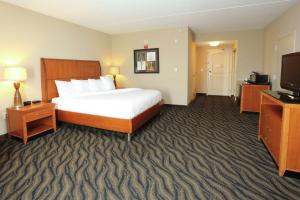 King Room with Tub - Mobility and Hearing Access room in Hilton Garden Inn Chesapeake/Suffolk