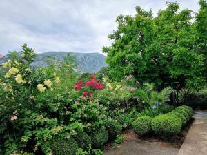 Cozy House Haj Nehaj