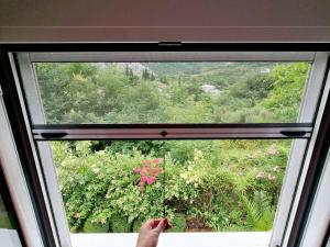 Cozy House Haj Nehaj