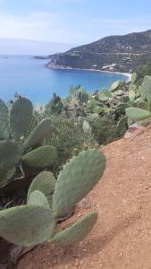 Villa ValePina img47