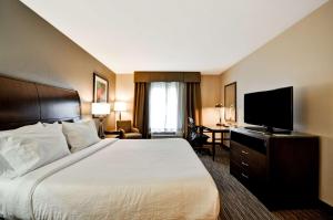 King Room room in Hilton Garden Inn Tampa North