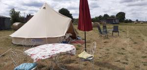 Tentes de luxe La tente saharienne du Perche .Chevaux. : photos des chambres