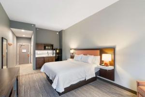 King Studio Suite - Non Smoking room in Hampton Inn Winchester