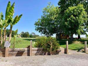 Maisons d'hotes Le Domaine de Darracq : photos des chambres