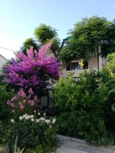 Apartments Fabijanić - Rab (Arbe)