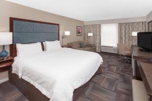 King Room with King Bed - Non-Smoking room in Hampton Inn & Suites Munster