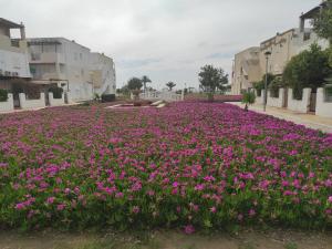 Vera Mediterráneo 390