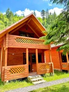 Під озером Синевир - Krasnyy