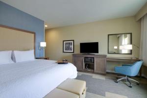 King Room with Sofa Bed - Non-Smoking room in Hampton Inn and Suites Snyder