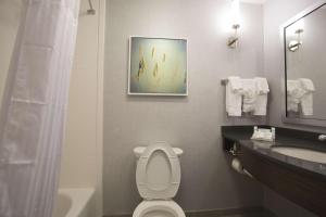 King Room - Hearing Access room in Hilton Garden Inn Bolingbrook I-55
