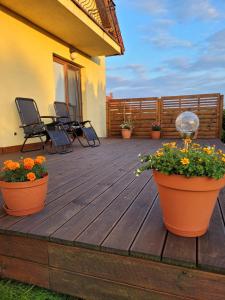 Apartament Platynowy - Malbork