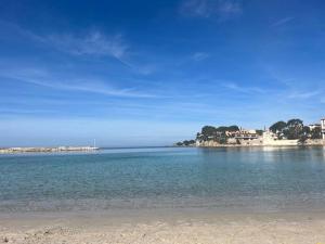 Appartements Appartement hyper centre Bandol : Appartement 1 Chambre