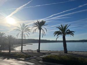 Appartements Appartement hyper centre Bandol : photos des chambres