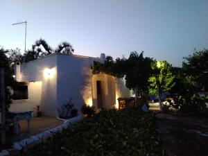 Sotto la pergola