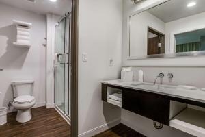 King Studio Suite with Sofa Bed - Hearing Access/Non-Smoking room in Hampton Inn & Suites Dallas-Central Expy/North Park Area