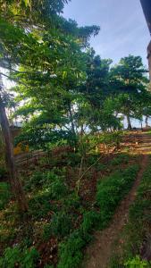 Casa hostal playa coral