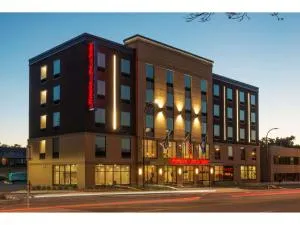 Hampton Inn and Suites Minneapolis University Area, MN - Falcon Heights