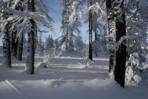 Chalets CHALET 16 PERS PROCHE DES PISTES : Chalet