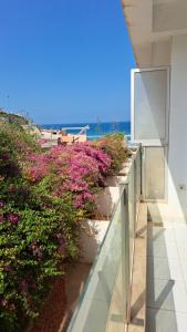 great appart with pool & surf