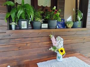 Holiday Home Dubravka