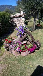 hotel Piccolo Ranch img58