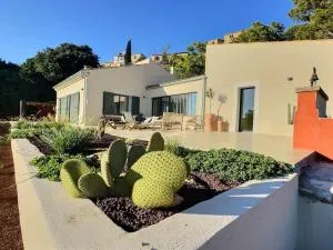 Sous le « Figuier » - 朗松普罗旺斯