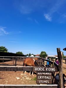 Omnia in Kaliakria Resort by RV Apartments