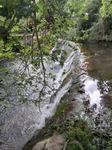 Allotjament dels Ports